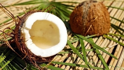 Coconut meat: A popular ingredient in curries and desserts alike, coconut also has medicinal properties. Packed with the goodness of MCTs or Medium Chain Triglycerides, coconut can help you burn fat and also protects heart. It may also help stabilize your blood sugar. (Pixabay) Coconut meat: A popular ingredient in curries and desserts alike, coconut also has medicinal properties. Packed with the goodness of MCTs or Medium Chain Triglycerides, coconut can help you burn fat and also protects heart. It may also help stabilize your blood sugar. (Pixabay)