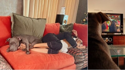 Samantha Ruth Prabhu chills with her dogs. (Instagram)