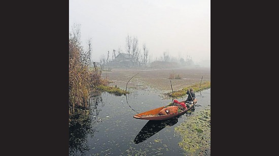 Srinagar has emerged as vegetable basket and has started exporting to the UAE. Officials said the export of vegetables to foreign countries will open new opportunities for those growing vegetables in the Valley. (HT File Photo)