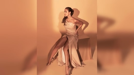 Malaika Arora opted for this sultry nude outfit for her show India's Best Dancer which she is currently judging.(Instagram/@manekaharisinghani)