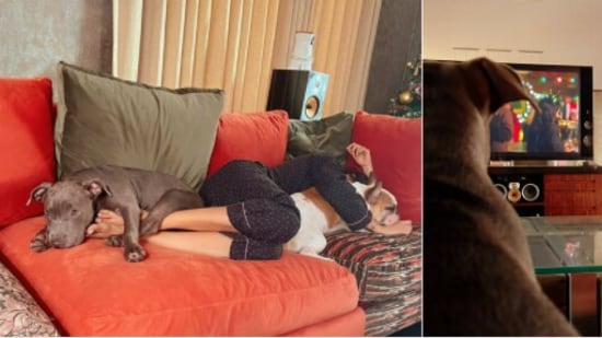 Samantha Ruth Prabhu chills with her dogs.(Instagram)
