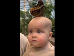The adorable baby girl with a majestic butterfly on her head. (instagram/@maycineeley) The adorable baby girl with a majestic butterfly on her head. (instagram/@maycineeley)