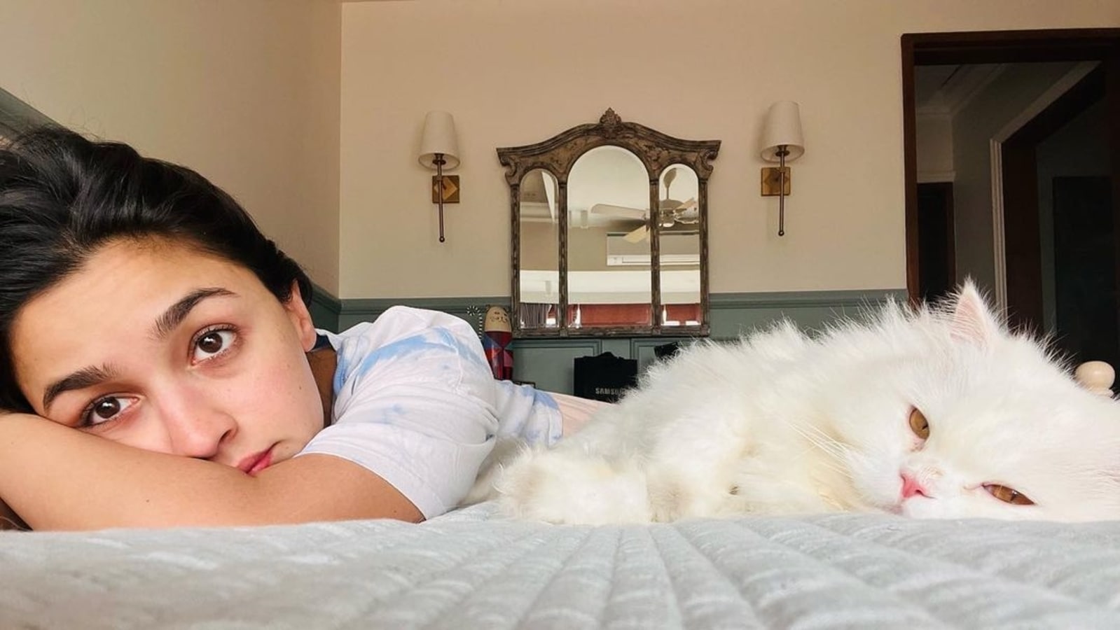 Alia Bhatt gives a glimpse of her bedroom as she chills with pet cat  Edward. See pic | Bollywood - Hindustan Times
