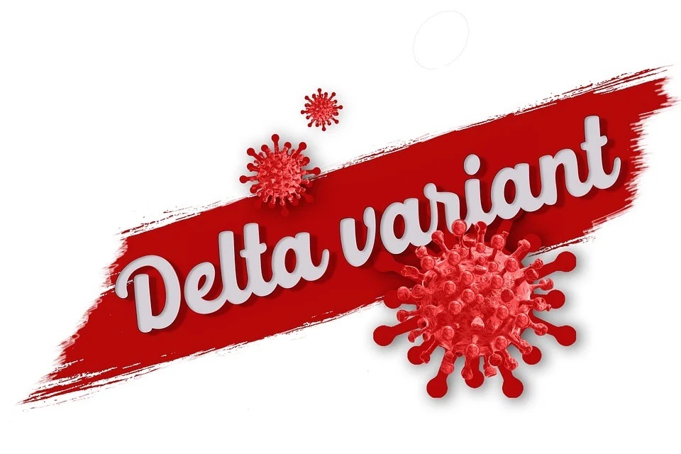 Delta variant caused a lot of damage to life and a lot of death because it spread very efficiently, says an expert. (Pixabay) Delta variant caused a lot of damage to life and a lot of death because it spread very efficiently, says an expert. (Pixabay)
