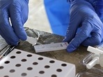 India's Omicron tally climbed to 213 on Tuesday, after Odisha reported its first cases and Maharashtra added 11 new infections. (HT FILE) (PIC FOR REPRESENTATION)