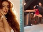 Disha Patani's workout video of flying kicks will make you embrace martial arts (Instagram/dishapatani)