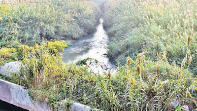 A seasonal stream, N-Choe originates in the north of Chandigarh and runs across the city, before meeting the Jagatpura drain at Manauli village in Mohali. The water finally drains into Ghaggar river. (HT Photo) A seasonal stream, N-Choe originates in the north of Chandigarh and runs across the city, before meeting the Jagatpura drain at Manauli village in Mohali. The water finally drains into Ghaggar river. (HT Photo)