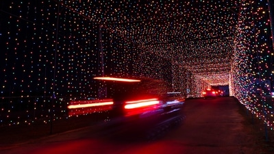 Holiday season lights a bright spot amid pandemic resurgence (AP) Holiday season lights a bright spot amid pandemic resurgence (AP)