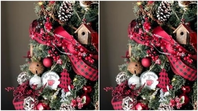 Tell a story: Through the decorative items of the Christmas tree, such as lights, balls, candies and other accessories, a story can be told to make the Christmas tree stand out from the rest. (https://in.pinterest.com/)