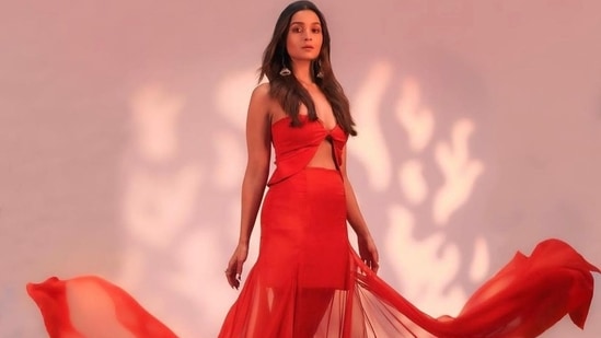 Met Gala 2023: How Alia Bhatt Literally Owned The Red Carpet