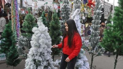 The Christmas tree range in the Sector-20 market in Chandigarh starts at ₹40 and goes up to ₹10,000 based on the height and design of the tree. (Keshav Singh/HT) The Christmas tree range in the Sector-20 market in Chandigarh starts at ₹40 and goes up to ₹10,000 based on the height and design of the tree. (Keshav Singh/HT)