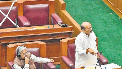 The BJP continued to insist on a discussion on the bill, which is an extension of its plans to introduce laws in line with its core ideology. (PTI) The BJP continued to insist on a discussion on the bill, which is an extension of its plans to introduce laws in line with its core ideology. (PTI)