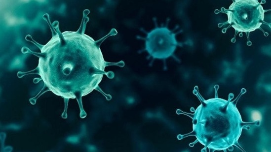 In India, the total number of Omicron cases has crossed the 200-mark with Delhi and Maharashtra being the leading contributors.(Representative image) In India, the total number of Omicron cases has crossed the 200-mark with Delhi and Maharashtra being the leading contributors.(Representative image)