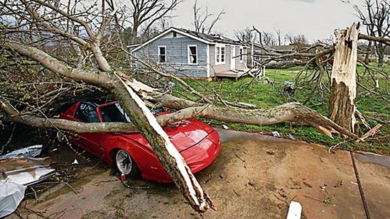The infants’ grandmother sheltered them in a bathtub, which was found in her yard after the tornado with the babies underneath. (AFP)