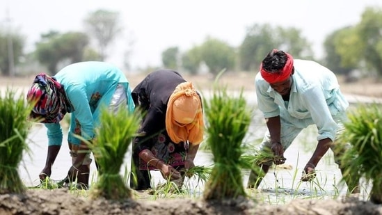 Kisan Diwas celebrates the farmers and their work in the country. It marks the contribution of the former prime minister to the agricultural reforms of India. Kisan Diwas celebrates the farmers and their work in the country. It marks the contribution of the former prime minister to the agricultural reforms of India.