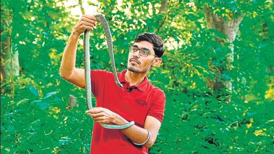 Sharma says he makes sure to mix things to keep his audience interested. Sometimes it’s a feat of engineering, other times a destruction video, a prank, or a nature explainer. He was almost bitten making this video about the best way to navigate an encounter with an irate snake. (Photo courtesy Amit Sharma)