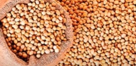Soya meal processors, millers and plant owners can hold a maximum stock of 90 days production and they are required to declare the storage location. (Screengrab)