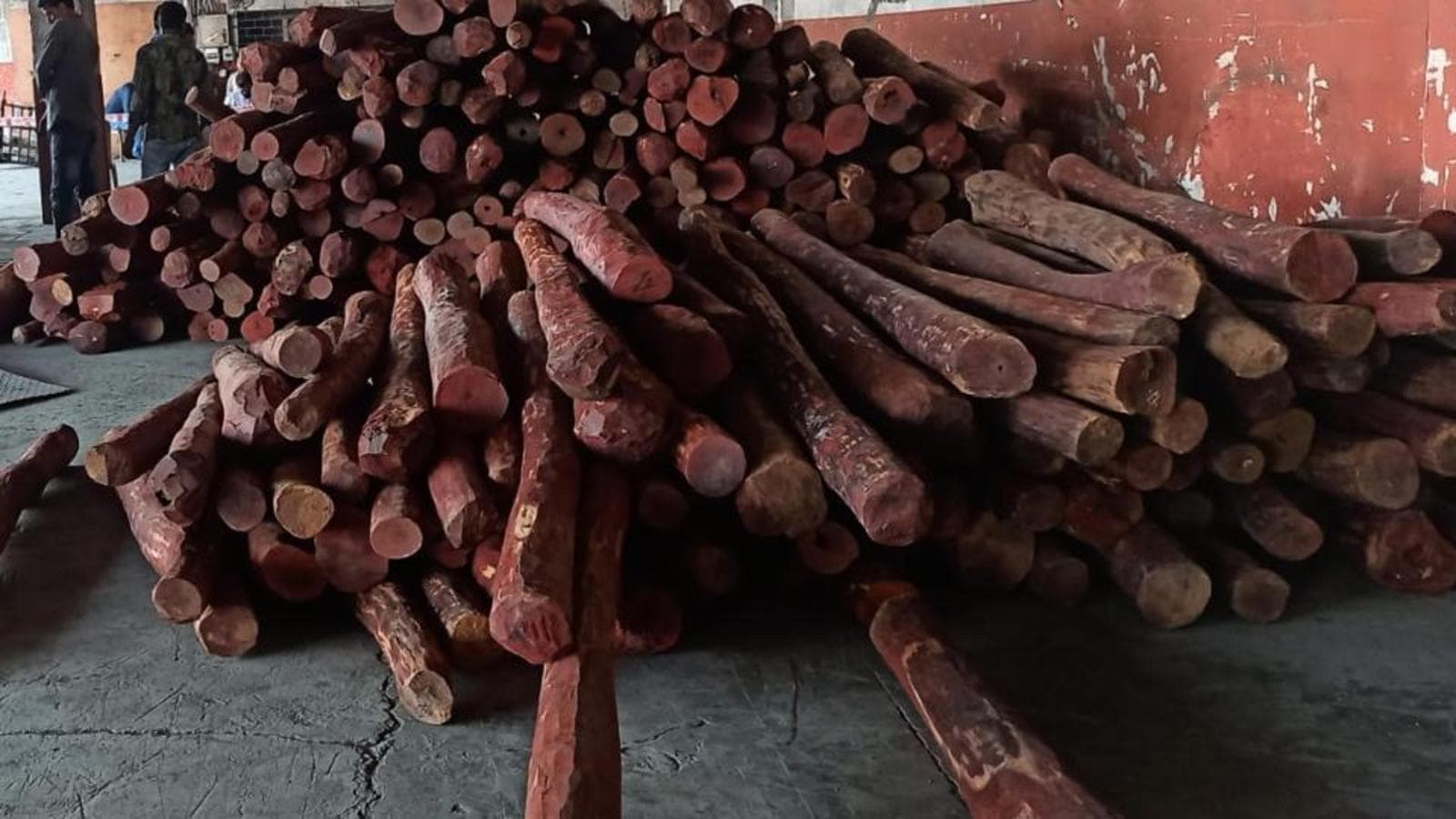 Two most wanted sandalwood smugglers held, 31 logs worth Rs. 20 lakh seized