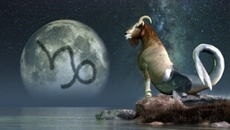 Capricorn Horoscope 2022: You will gain experience in all aspects of your life which will turn out to be rewarding and worthwhile.