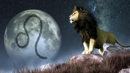 Leo Horoscope 2022: Your family and your personal life will become great, and it will be filled with happiness and pleasure.