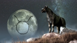 Taurus horoscope 2022: Some of you will succeed in everything that you do after the second quarter of 2022(shutterstock)