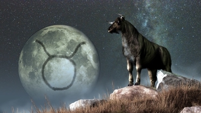 Taurus horoscope 2022: Some of you will succeed in everything that you do after the second quarter of 2022 (shutterstock) Taurus horoscope 2022: Some of you will succeed in everything that you do after the second quarter of 2022 (shutterstock)
