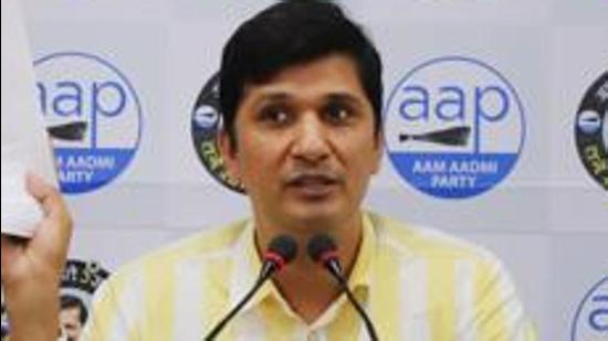 Aam Aadmi Party (AAP) MLA and party spokesperson Saurabh Bharadwaj said the municipal corporations in Delhi were not paying the dues of cattle shelters, leading to strays eating garbage on city roads. (HT Photo)