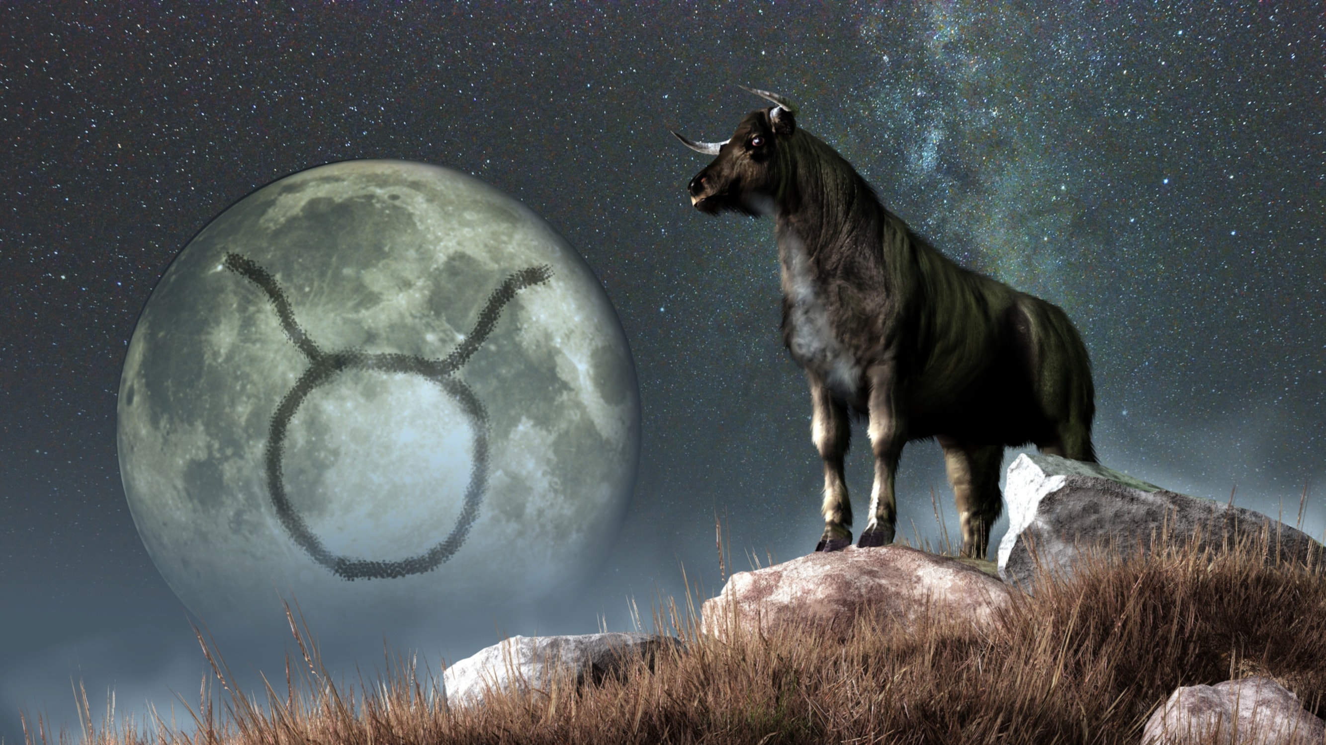 Mars transit in Taurus April 25: This transit might impact you on various factors for all zodiacs. (shutterstock) Mars transit in Taurus April 25: This transit might impact you on various factors for all zodiacs. (shutterstock)