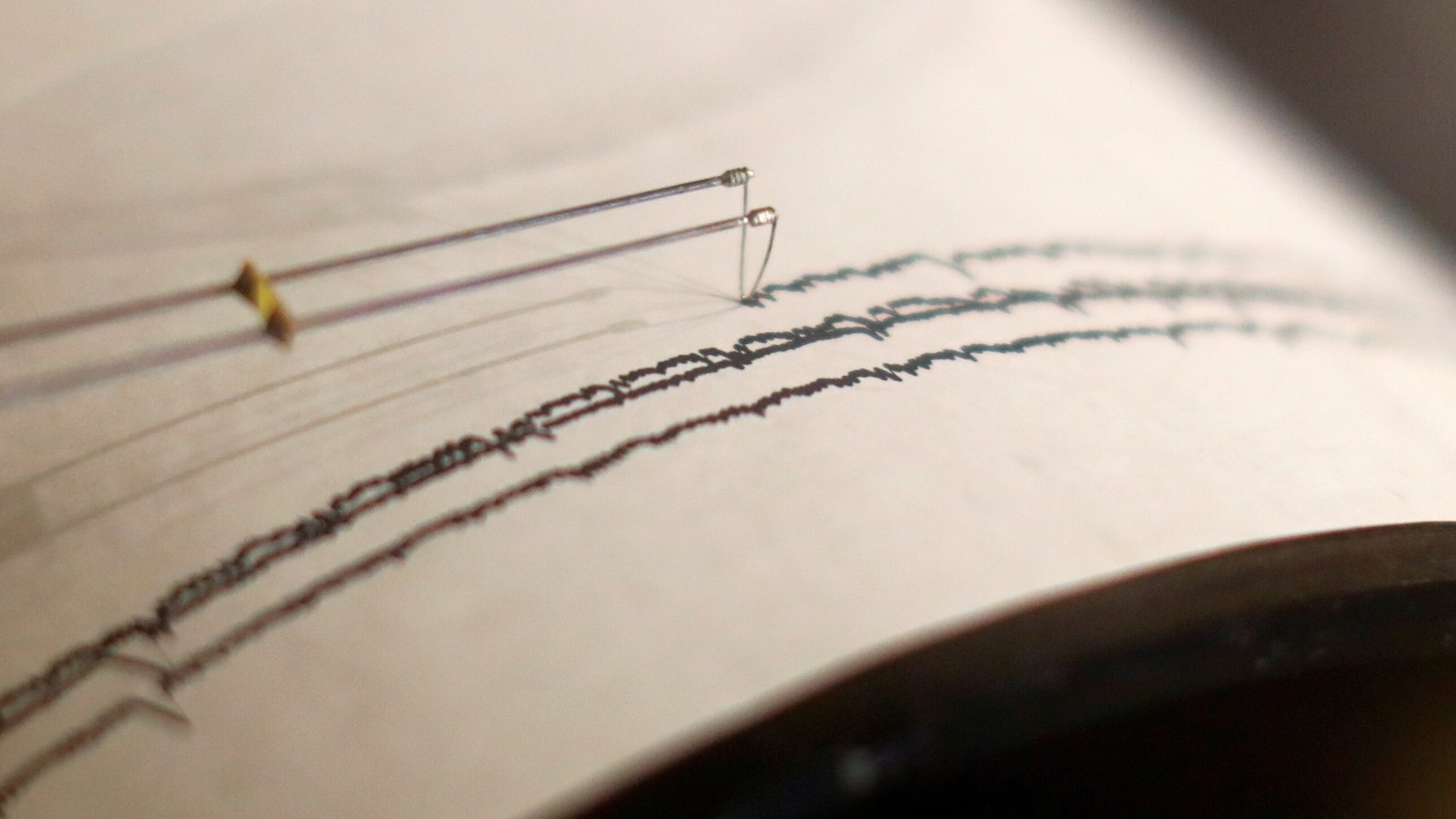 4.8 magnitude earthquake strikes Srinagar  India latest news