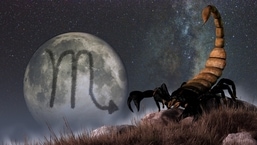 Scorpio Horoscope 2022: Trust your instincts and money matters to keep the trade running smoothly and steadily.