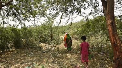 While reforms in forest governance may be welcome, are we managing to strike a balance between diversion of natural forests and plantation efforts? (HT Photo)