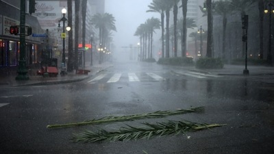 Palm tree debris on the street during Hurricane Ida in New Orleans, Louisiana, US.&nbsp; (Bloomberg)