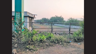 City-based environment group Vanashakti on Monday wrote to authorities, including chief minister Uddhav Thackeray (Vanashakti) City-based environment group Vanashakti on Monday wrote to authorities, including chief minister Uddhav Thackeray (Vanashakti)