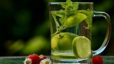 Feeling bloated after nights of merrymaking and gorging on delicious food? Here are some home remedies to reset your digestive system. (Pixabay) Feeling bloated after nights of merrymaking and gorging on delicious food? Here are some home remedies to reset your digestive system. (Pixabay)