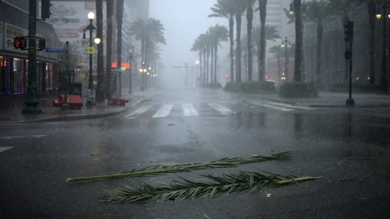 Palm tree debris on the street during Hurricane Ida in New Orleans, Louisiana, US.&nbsp;(Bloomberg)