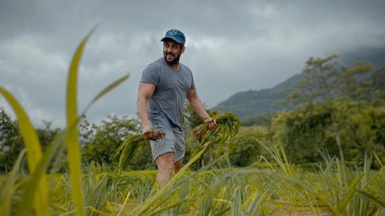 Salman Khan usually celebrates his birthday at his farmhouse in Panvel.