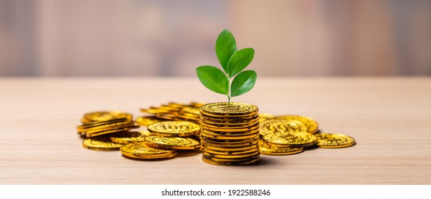 People with Cancer, Virgo, Sagittarius and Pisces moon sign should step on the accelerator today and accomplish their goals. People with Cancer, Virgo, Sagittarius and Pisces moon sign should step on the accelerator today and accomplish their goals.