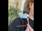 This cute bird talks like humans, calls itself ‘sweet baby’ and beatboxes - all in the same breath. (tiktok/@bubblesonthemic)