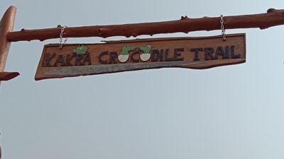 Uttarakhand's Khatima to host 'Surai Ecotourism Zone', 'Kakra Crocodile Trail' (Twitter/lalit_jyala_uk) Uttarakhand's Khatima to host 'Surai Ecotourism Zone', 'Kakra Crocodile Trail' (Twitter/lalit_jyala_uk)
