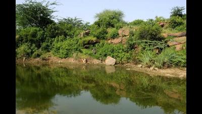 Under the NCR Regional Plan 2021, which has been in force since 2005, nearly the entire Aravalli range in Delhi, Haryana and Rajasthan is protected, with no construction allowed in the area. (Parveen Kumar/HT Photo) Under the NCR Regional Plan 2021, which has been in force since 2005, nearly the entire Aravalli range in Delhi, Haryana and Rajasthan is protected, with no construction allowed in the area. (Parveen Kumar/HT Photo)
