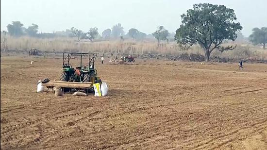 The Andhra Pradesh government has credited farmer welfare schemes for the state’s No. 1 rank in agriculture and allied sectors in the Good Governance Index 2021. (ANI/ Representational image)