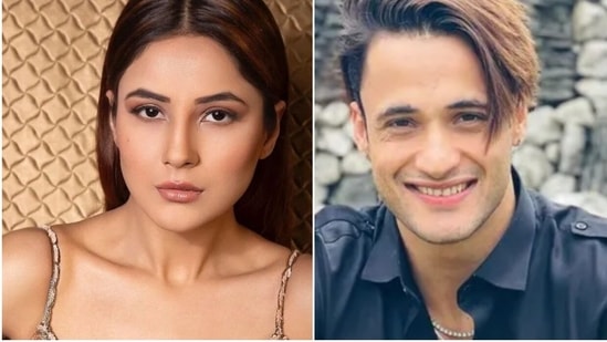 Shehnaaz and Asim were seen together on Bigg Boss 13.