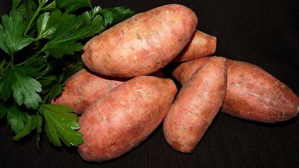 A supremely rich source of Vitamin A, sweet potatoes can give the perfect boost to your immune system (Pixabay) A supremely rich source of Vitamin A, sweet potatoes can give the perfect boost to your immune system (Pixabay)