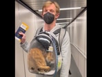 The man boarding a flight with his pet cat in a transparent bag. (reddit/@AnswerLive45) The man boarding a flight with his pet cat in a transparent bag. (reddit/@AnswerLive45)