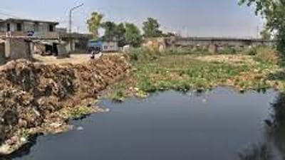 Even if authorities spend hundreds of crores to upgrade the STPs, all of it will go to waste unless the Ludhiana municipal corporation finds a way to stop dairy waste from being dumped to prevent Buddha Nullah pollution (HT PHOTO) Even if authorities spend hundreds of crores to upgrade the STPs, all of it will go to waste unless the Ludhiana municipal corporation finds a way to stop dairy waste from being dumped to prevent Buddha Nullah pollution (HT PHOTO)