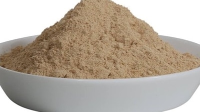 Maca: The roots of the maca plant are consumed to boost libido and fertility in women with PCOS. (Instagram)