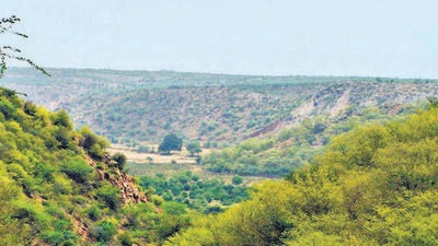 Researchers said the reduction in environmental clearance times was not benefiting conservation. (HT file) Researchers said the reduction in environmental clearance times was not benefiting conservation. (HT file)