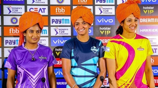 Will there be a women's IPL?&nbsp;(PTI)