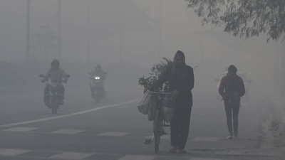 “Dense fog in isolated pockets very likely over Punjab, Haryana and Uttar Pradesh in night/morning hours on 31st Dec. and over East India on 31st December, 2021 and 1st January, 2022,” the IMD said. (ANI)