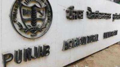 Amanpreet Singh Brar has been appointed to PAU board, Ludhianaas a replacement of Sardar Devinder Singh Chahal (HT Files) Amanpreet Singh Brar has been appointed to PAU board, Ludhianaas a replacement of Sardar Devinder Singh Chahal (HT Files)